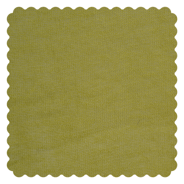MF26SSPointelleNormal0168 100%anti-pilling Cotton 2/60Nm Pointelle